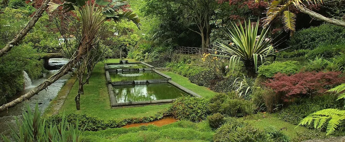 A shaded path, water and dense planted greenery in Parque Terra Nostra.